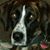 Pam Kennedy Fredelake's profile image