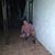 Nahuel Otero's profile image