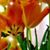 Barbara Ann Matthews's profile image