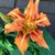 Annette Stewart's profile image