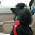 Dorothy DeBord Foulk's profile image