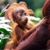 Angie Kober Adams's profile image