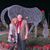 Barbara Norville Keever's profile image