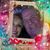 Melanie Renee Billingsley's profile image
