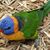 Tracy Maness's profile image
