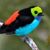 Cathy Gliewe's profile image