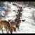 Bev Gallegos's profile image