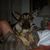 Bern Fleming's profile image