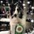 Linda Mendenhall's profile image