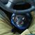 Pauly Bear Pretzer's profile image
