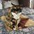 Jan Yount's profile image