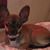 Lori Kane's profile image