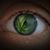 Daryle Carlyle's profile image