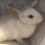 Aranda Saldivar's profile image