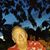 Maynard W Hurlbut's profile image