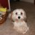 Greg Waldeck's profile image