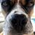 Brande Lissa's profile image