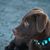 Theresa McCoppin Smith's profile image