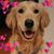 Barb Dunlap's profile image