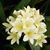 Barbara LaBagh's profile image