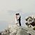 Mel Trogani Felicetta's profile image