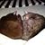 Laurie J Baker's profile image