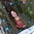 Jessica Aucoin's profile image