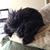 Ashley Trotter's profile image
