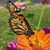 Stephanie Backes's profile image
