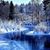 Linda Shaw's profile image