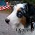 Pamela Hazlett's profile image