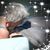 Lois Walton's profile image