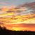 K Cross Photos's profile image