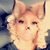 Tosha Toenail's profile image