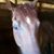 Linda Cumston's profile image