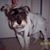 Diana Patsy Martin's profile image