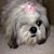 Laura Bierwirth Wax's profile image