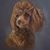 Linda Goodman's profile image