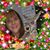 Emily Becker Prien's profile image