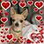 Debbie Elkins's profile image