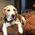 Margot Keen Harris's profile image