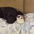 Kathleen Cook's profile image