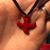 Marysia Chabotte's profile image