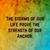 Donna Smith Baker's profile image