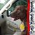 Cindi Rossini's profile image