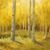 Donna Womack Eberhart's profile image