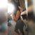 Jennifer Flopez's profile image