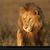 Kathy Clark's profile image
