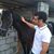 Reda Ali's profile image