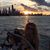 Deb DeCamp's profile image